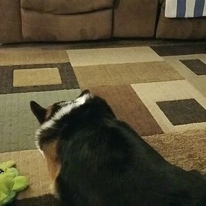 Meet your Posher, Denise